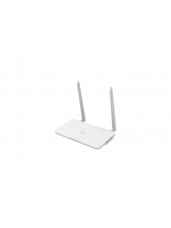 Hoymiles DTU-pro-s monitoring voor micro omvormer