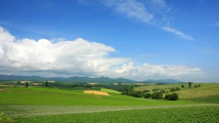 Landscape landschap